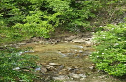 Sauna Retreat in Sulz - Photo 67