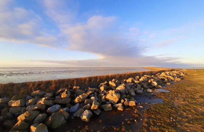 Guesthouse Friesland Ternaard Near Heritage - Photo 36