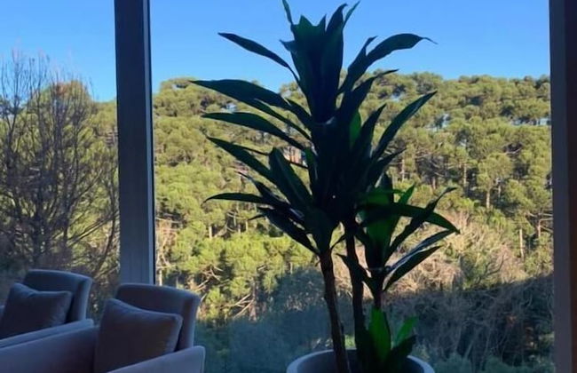 Golden Gramado Resort Lagheto - Foto 42