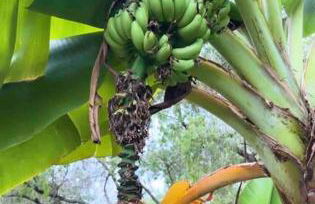 Pool! Best location! Steps to the water! Kid friendly! - Foto 51