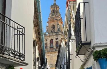 Geysotur Puerta de la Axerquía Parking Gratis - Foto 18