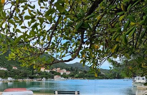 Apartment SanktVid - Foto 31