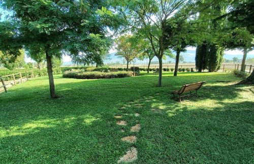 Pietra Rosa - Foto 11