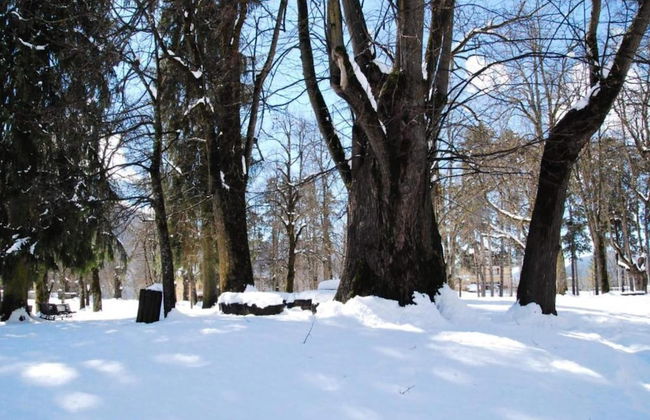 Belvilla by OYO Negritella Quadri Sette - Foto 37