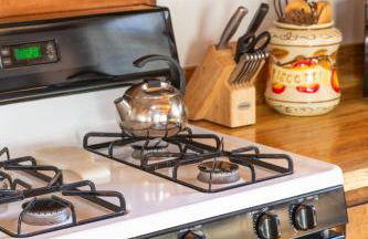 Bearadise Cabin - Foto 50