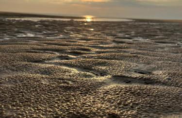 L Orée de la Pinède Hardelot Plage à 800 metres de la mer sous les pins - Foto 56