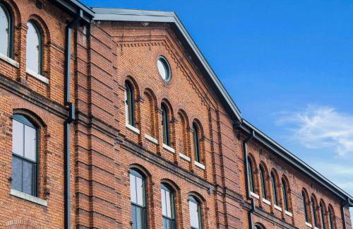 Tobacco One - Foto 20