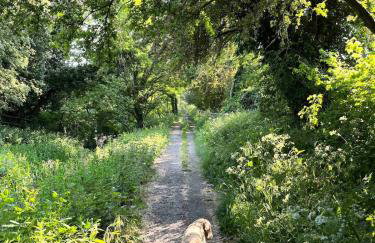 Bridle Cottage - Foto 8