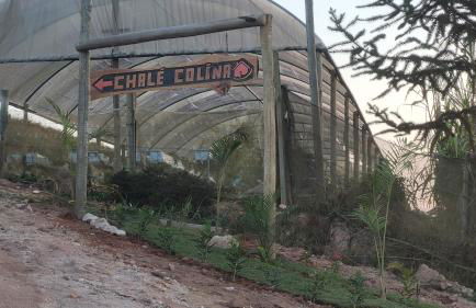 Chalé Colina - Foto 47