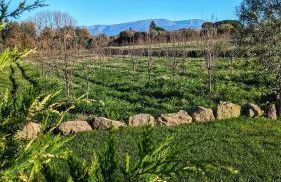 A Casa do Soito - Foto 25