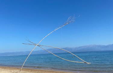 Villa Delfini - Foto 38