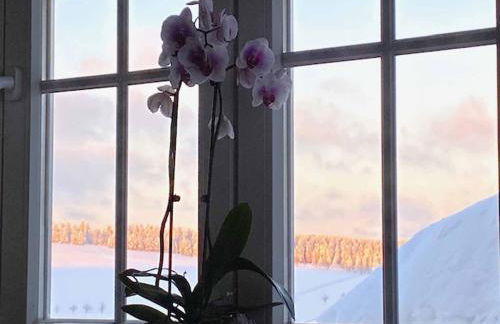 Berghaus Carlsfeld - Foto 52