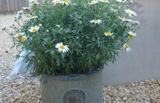 Round The Bend, an annexe in the quiet village of Odcombe - Foto 9