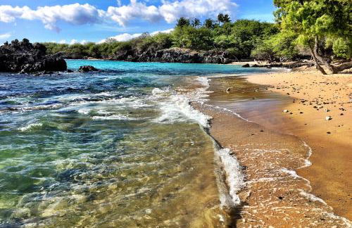 Mauna Lani Villa A-22 - Foto 41