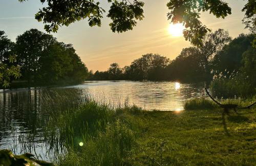Villa Schuwardt auf Nordend - Foto 36