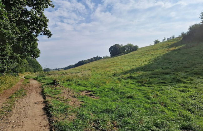 4 Person Holiday Home in Ebeltoft-by Traum - Foto 21