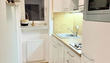 Ameis Nest - Photo 5