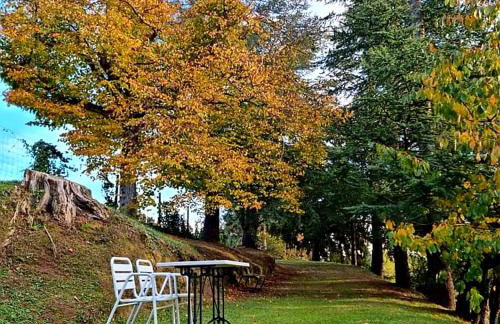 Mas Cal Sastre - Foto 26