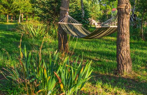 Zielony Zakątek - Foto 4