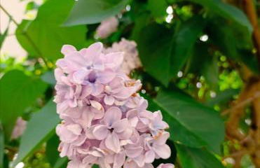 Bienvenue à PARIS - Appartement confortable, grande terrasse privée au calme, parking gratuit - Foto 19