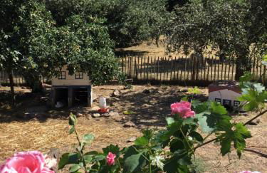 Quinta Boavista - Foto 28