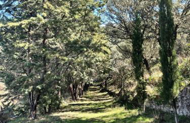 Casa Rural Camino de Hierro I y II - Foto 58