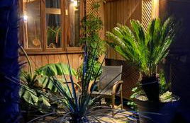 Jungle Cabin - Foto 20