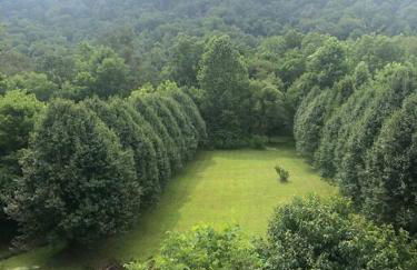 Serenity Views Retreat - Close to City and Parkway! - Foto 27