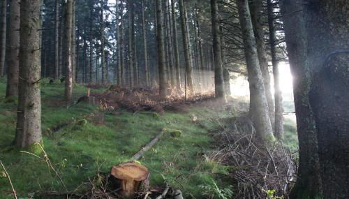 viaux-fontaine - Foto 3