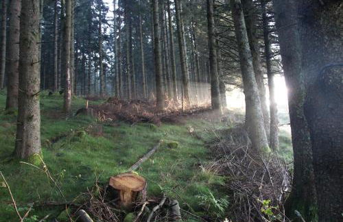 viaux-fontaine - Foto 3