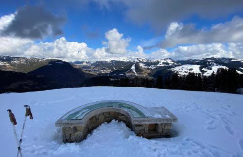 L'Ecrin des Myrtilles - Appartement cosy - Piscine et vue montagne - Alpes - Val d'Arly - Aravis et Beaufortain - Foto 64