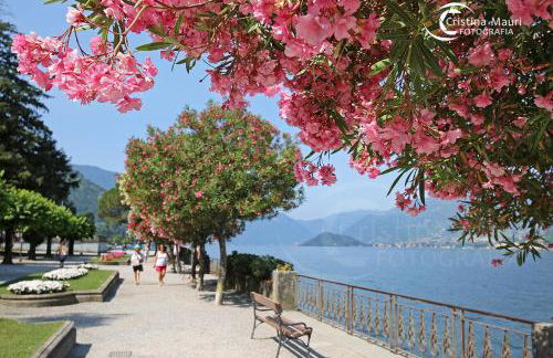 BELLAGIO DREAMS APT, pool, with private garden, near lake - Foto 43