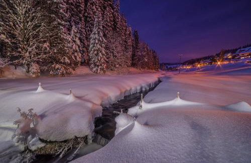Ferienhaus Am Rösslewald - Photo 17
