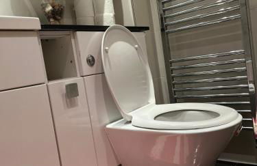 Stunning apartment in the heart of Central London - Foto 33