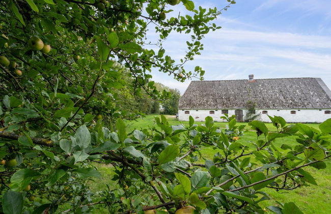 "Landuin" - 30km from the sea - Foto 4