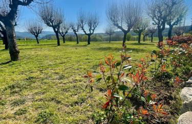 Castrum Gallani - Foto 6