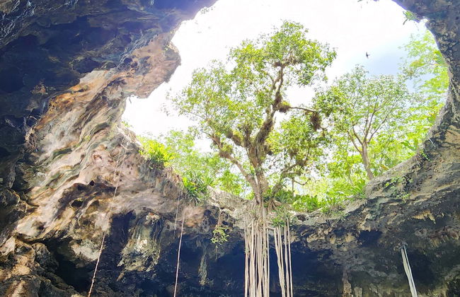 Homun Cenotes Day Trip - Photo 7