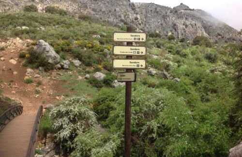 Saluda Alta - Foto 55