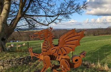 The Pod Fabulous glamping pod near Snowdonia. - Photo 21