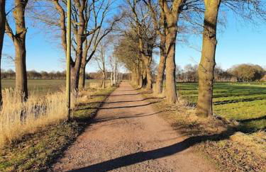 Ferienhaus blauer See mit optionalem Hot-Tub - Foto 41