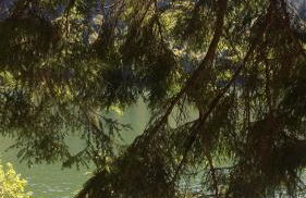 Chalet 10 pers sauna & SPA La tanière des Vosges - Foto 56