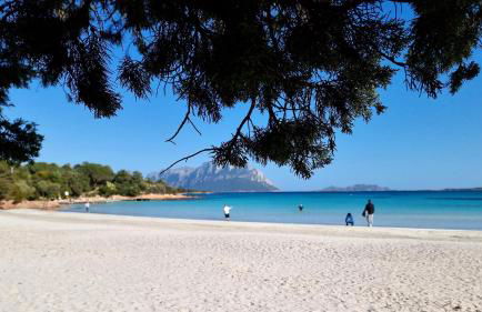 Villa Luna Rossa con piscina - Foto 43