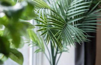 The Heart - Cosy 3 bedroom house with double driveway and Garden in Manchester - Foto 63