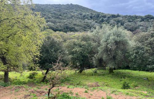 Maison typique Corse écologique - Photo 31