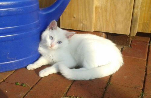 Schröderhof - Photo 11