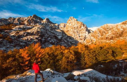 Mountain Lodge T3 Duplex Abrigo do Lobo - Foto 70