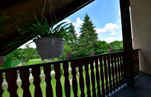 Apartman Jelena - Foto 32