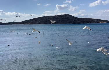 Studios Akrogialli - Foto 22