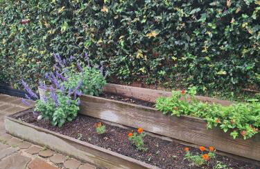 The Monarch - Foto 6