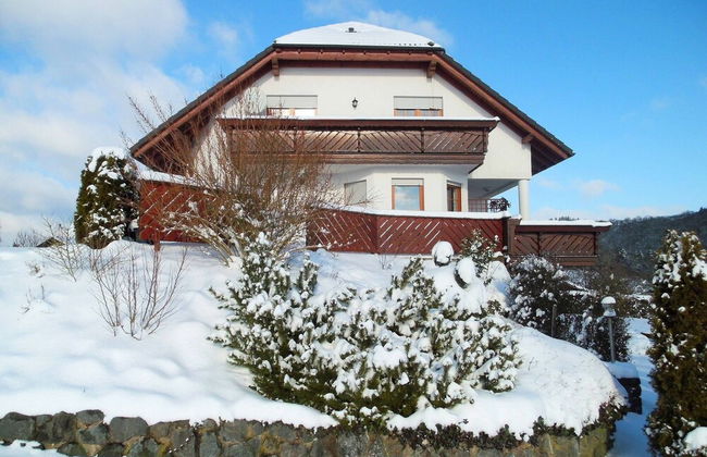 Dreislar Mountain Hideaway - Photo 22